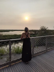 Paysage de Camargue coucher du soleil inspiartion redaction web tourisme