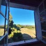 Vue Roumoules Fenêtre grande ouverte sur champ en provence