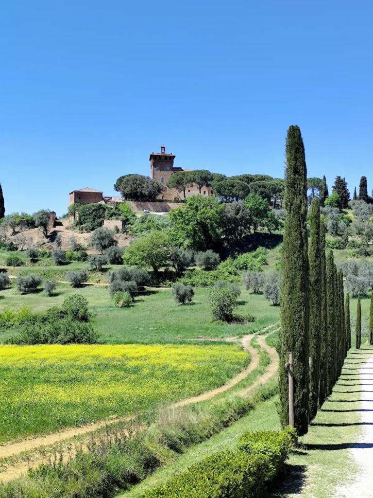 Route Toscane Paysage du Val d'Orcia avec allée de cyprés