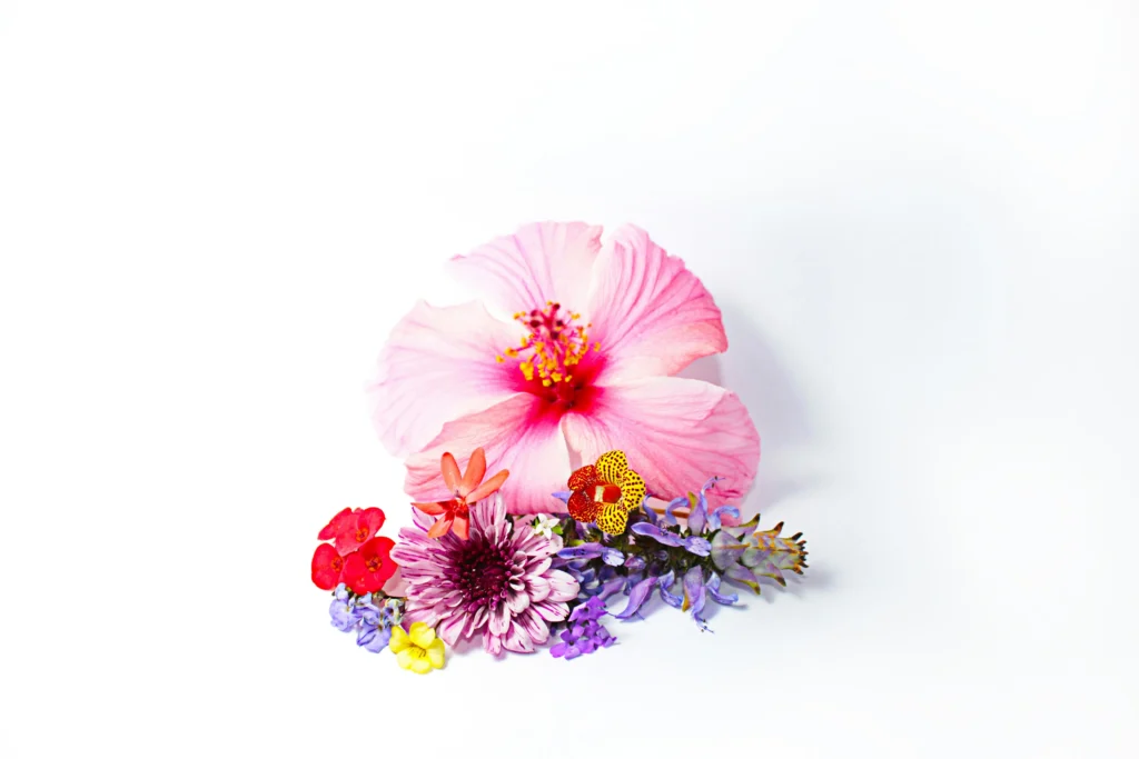 bouquet hibiscus Bouquet de fleurs avec hibiscus