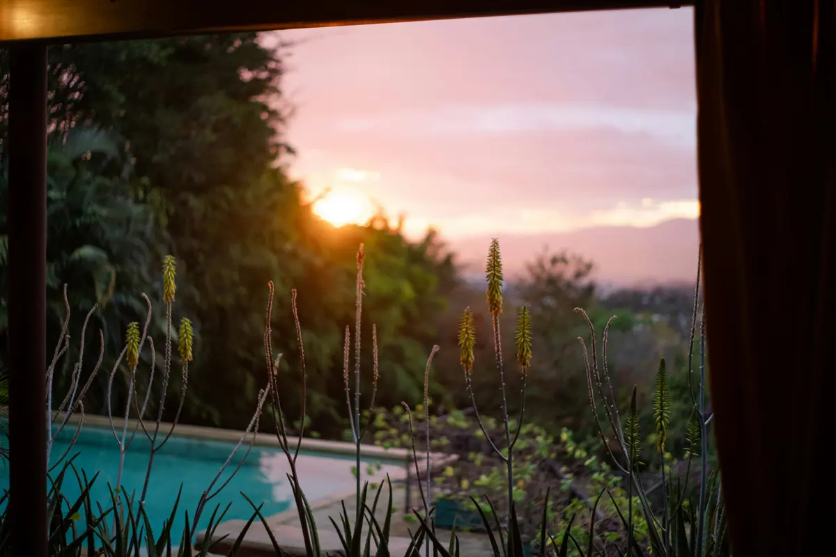 vue de chambre sur piscine jardin lubéron
